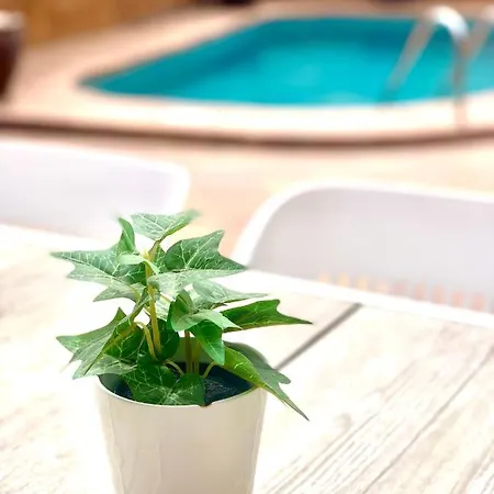 Your Holidays - Sta Monica - *