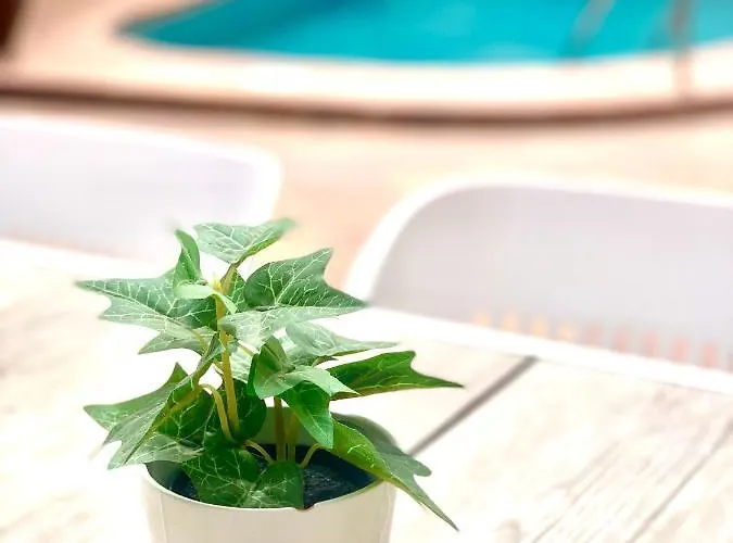 Your Holidays - Sta Monica - *